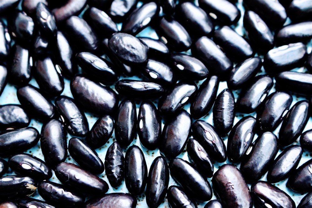 hipstamaticphoto-558611747.661994