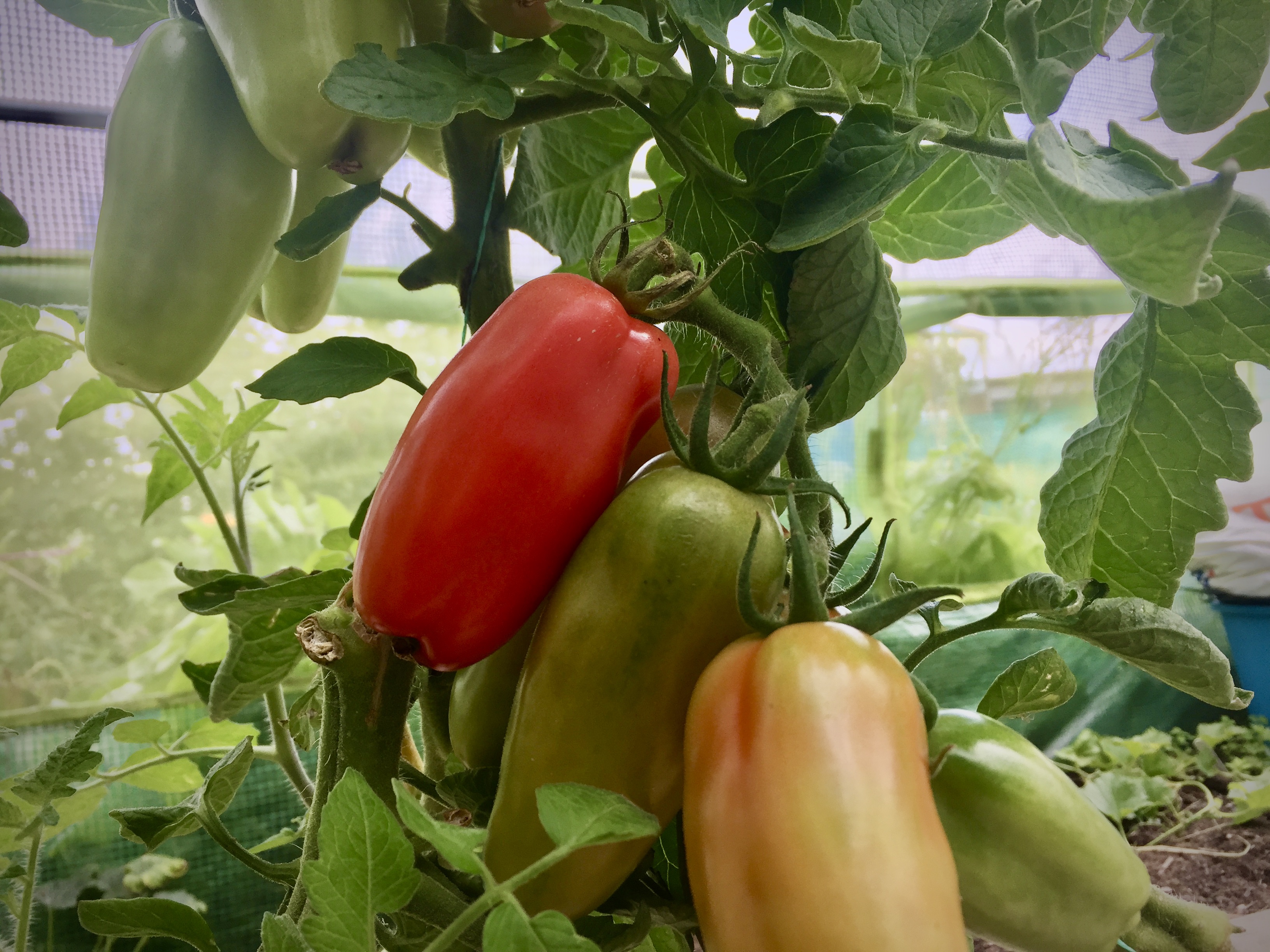 7080DB25-7ACB-4976-A902-5871FF9153F0_1_201_a