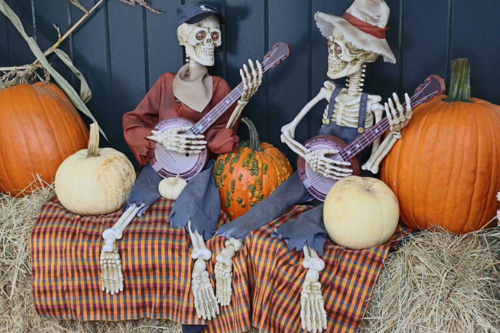 BA356D04-F45F-4776-9454-C38B12ACD9E5