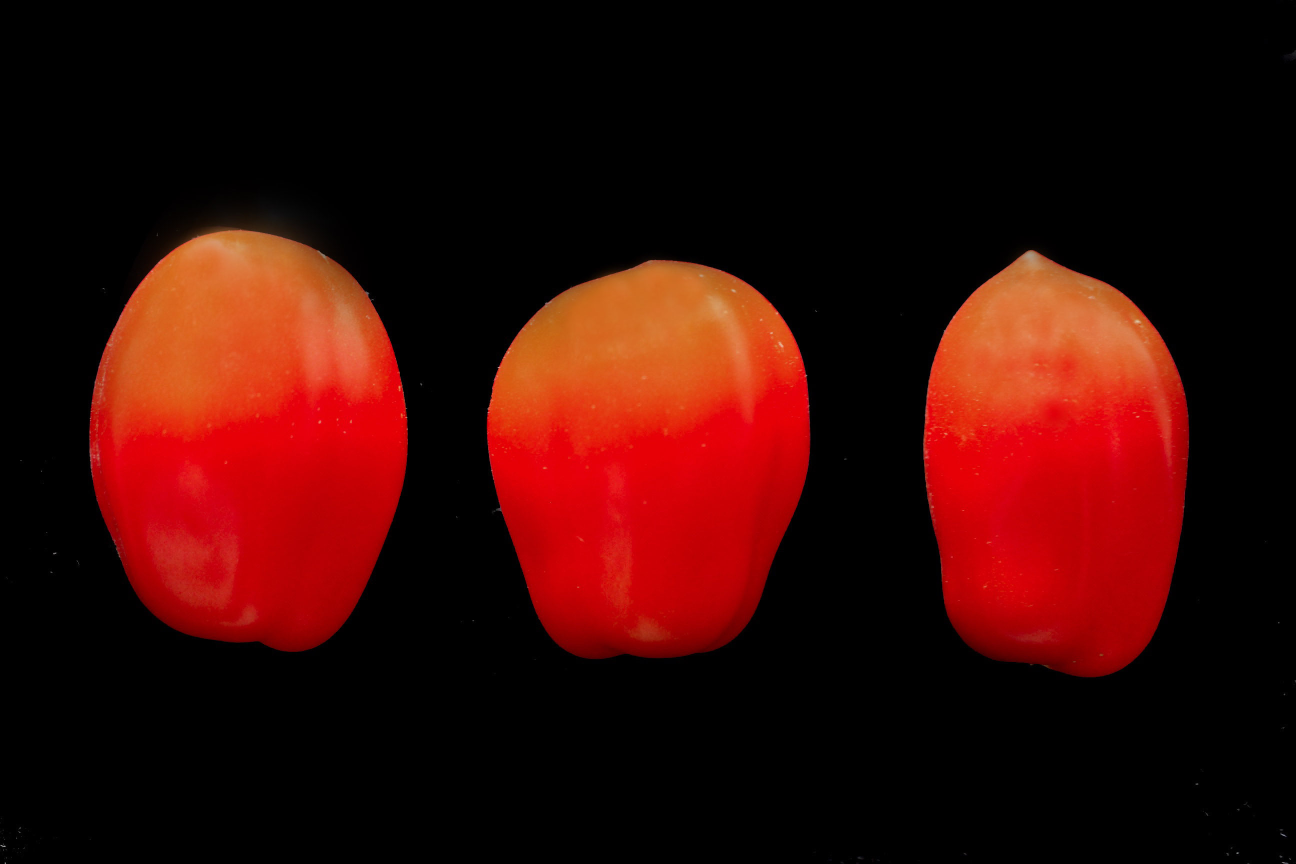 156DA607-041D-4ACD-ABD4-C4B41A18C436_1_201_a