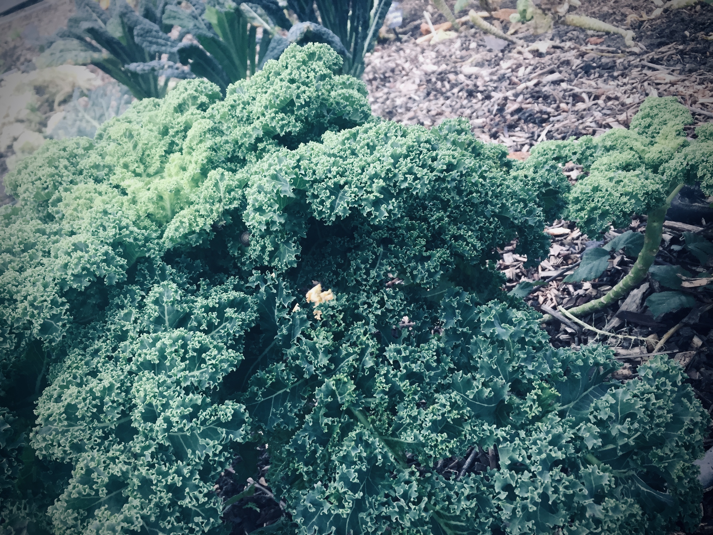 58F237A4-2306-4436-89D4-55EB2F331865_1_201_a