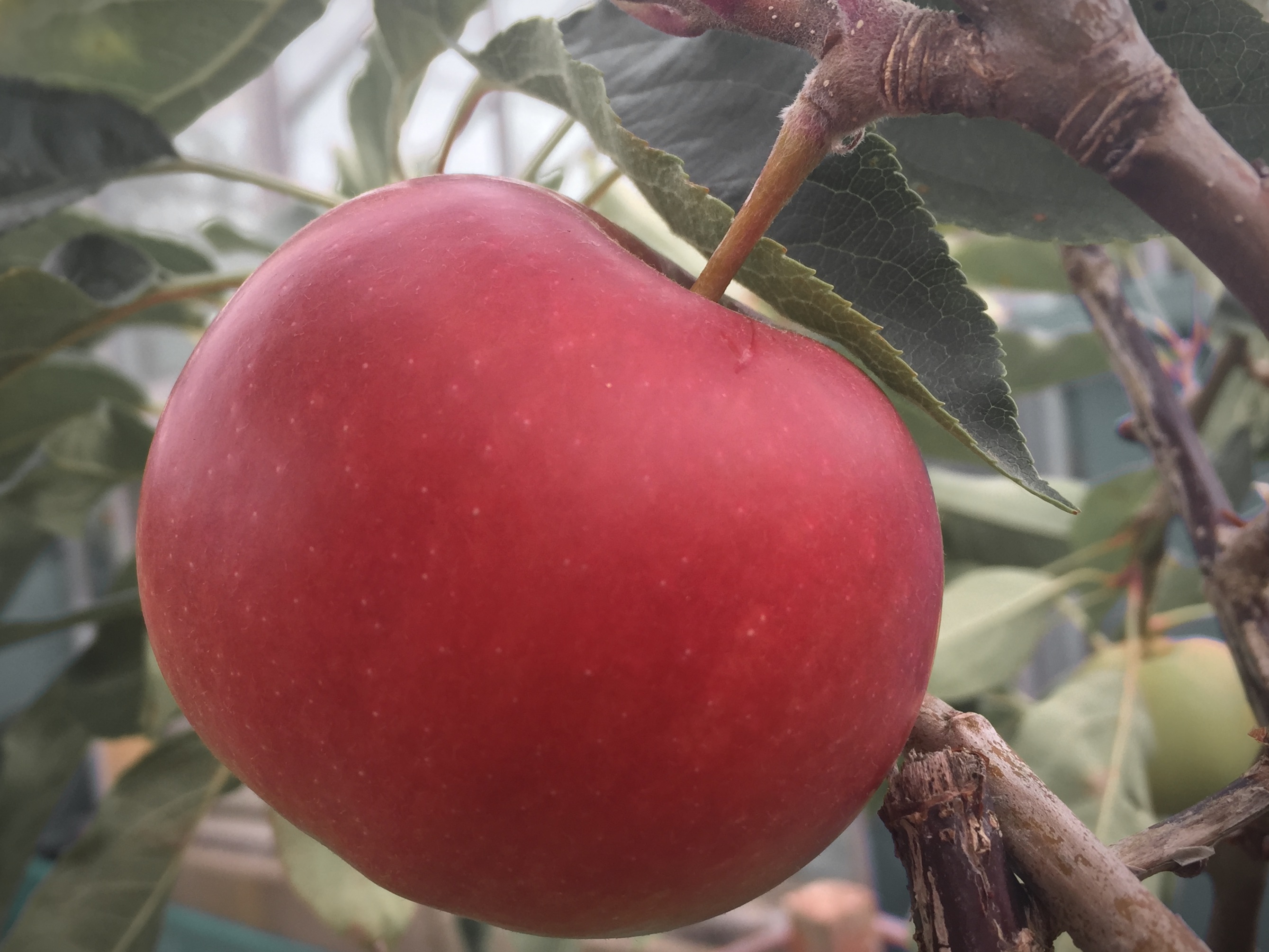 6F08EAC5-B29A-44F4-A280-A592C40100CD_1_201_a