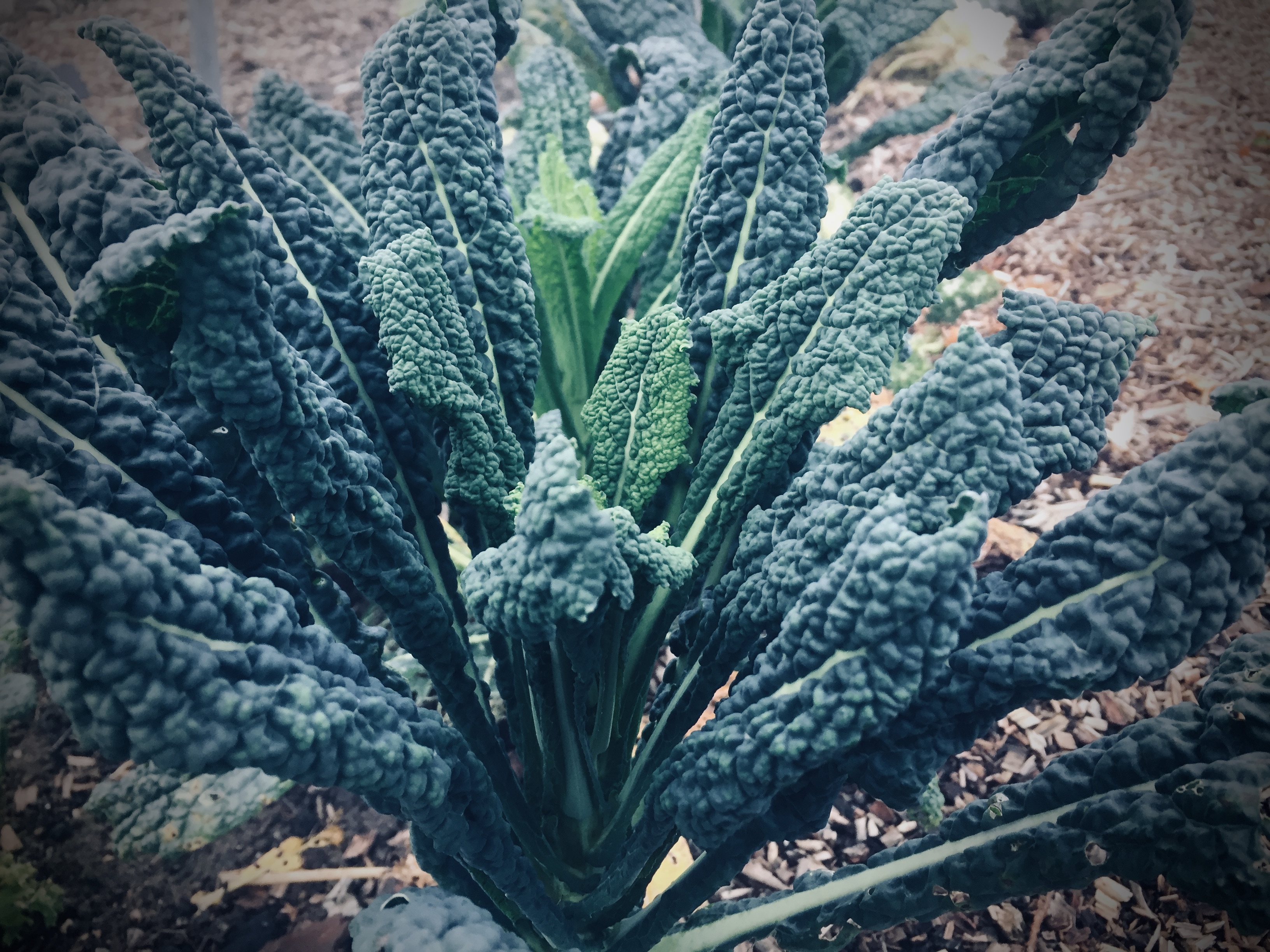 E48BB3F0-5A59-46A1-9B76-D636FC09BE94_1_201_a