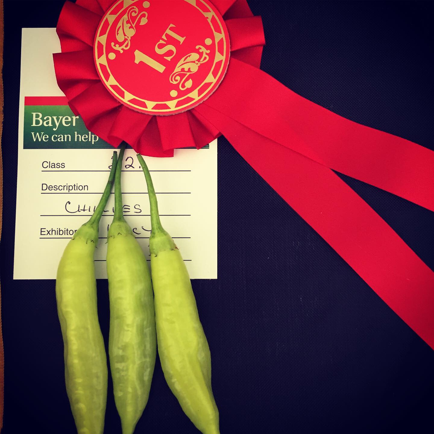 FB2C463C-3AFE-421D-A55E-FA6ED5AB8532