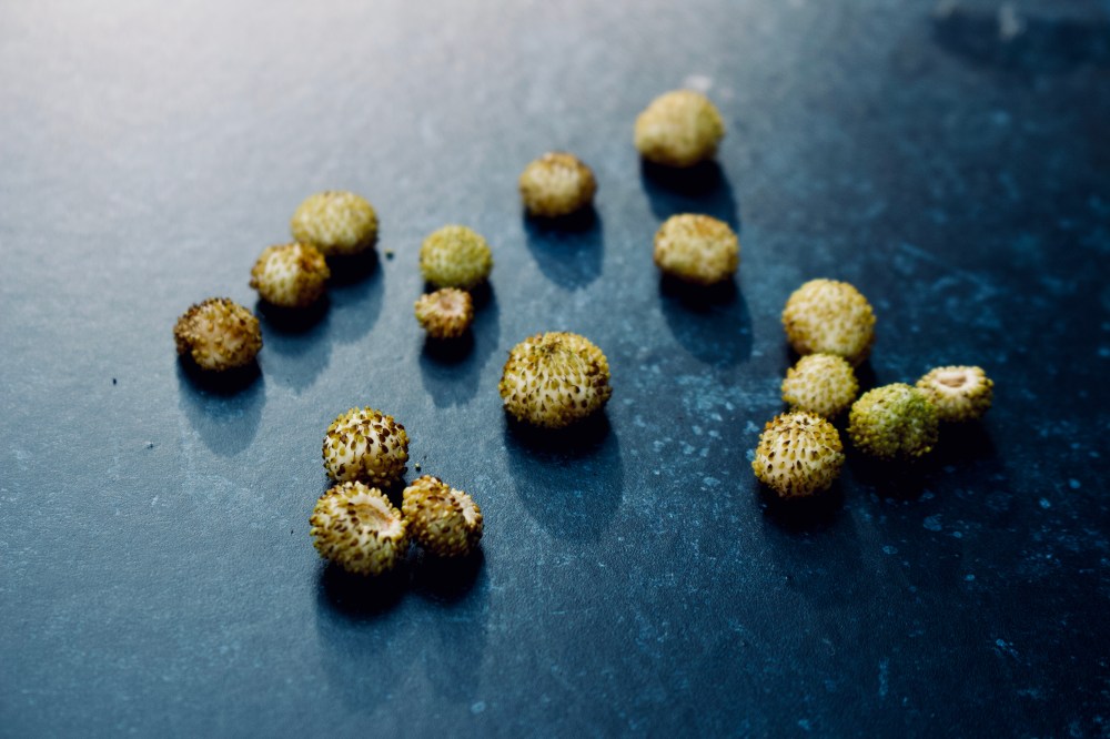 5427D613-C97A-417C-952A-A6538C07B411_1_201_a