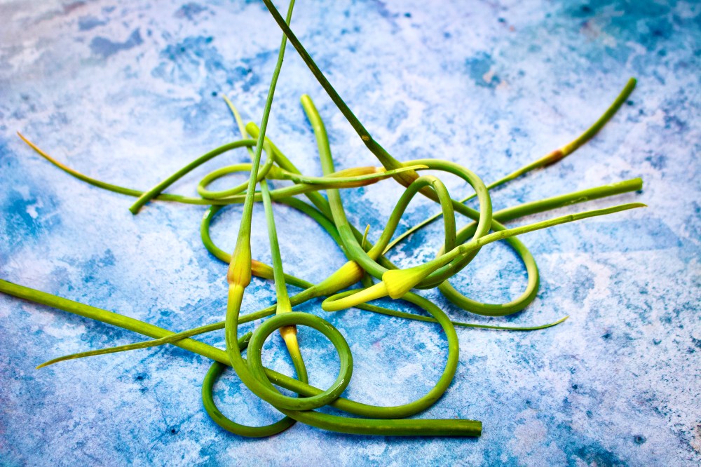 5A4ECFCA-FA76-4C80-B570-AA382B9250B5_1_201_a