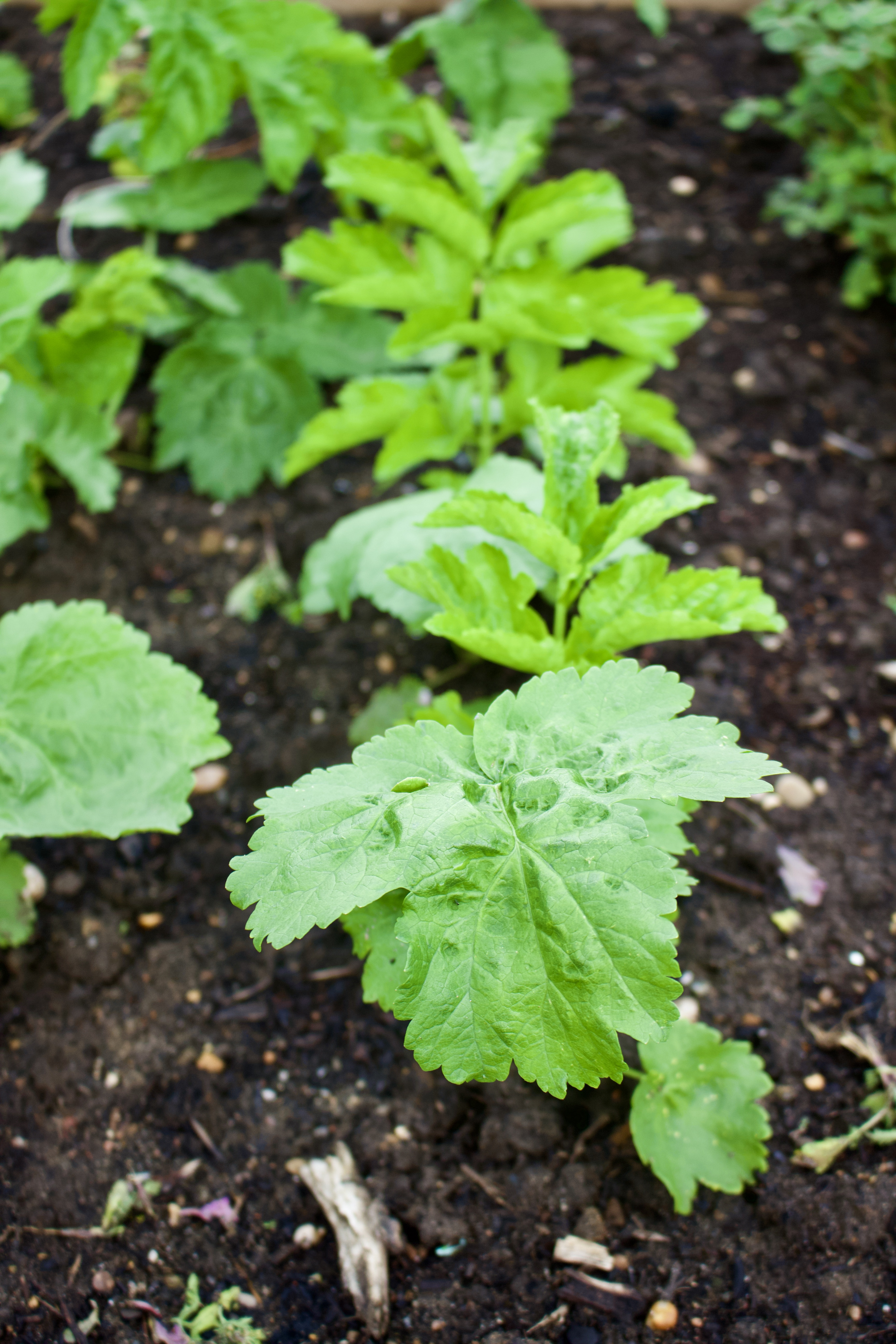 744CA791-4B9E-4A90-AB17-ED3A88F9DF36_1_201_a