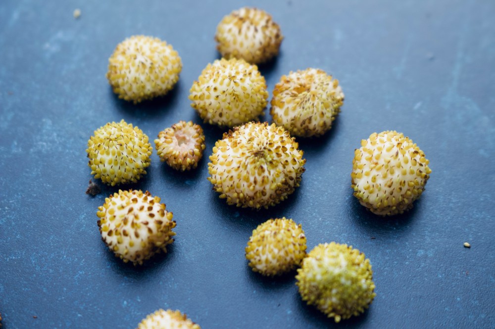 75FE3DDC-021B-40F2-9A3F-AB9D8D8DF68F_1_201_a