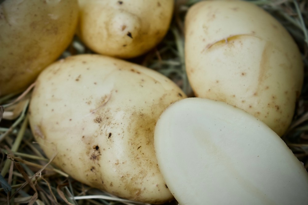 15C5D037-F160-4B7B-B7FF-34CEFEBE88F6_1_201_a