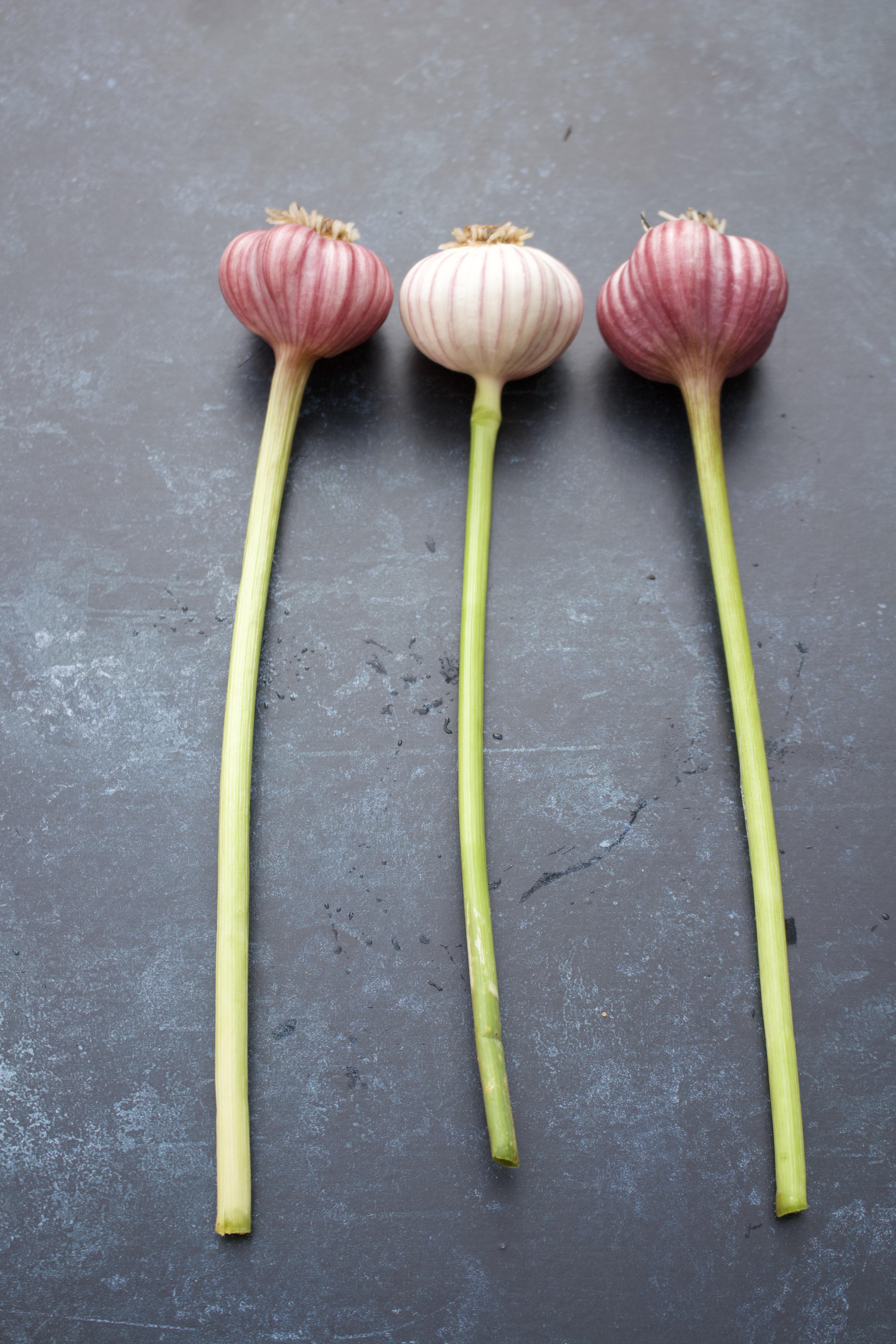 2761D780-3FA5-4AD6-BC70-D56A795FD644_1_100_o