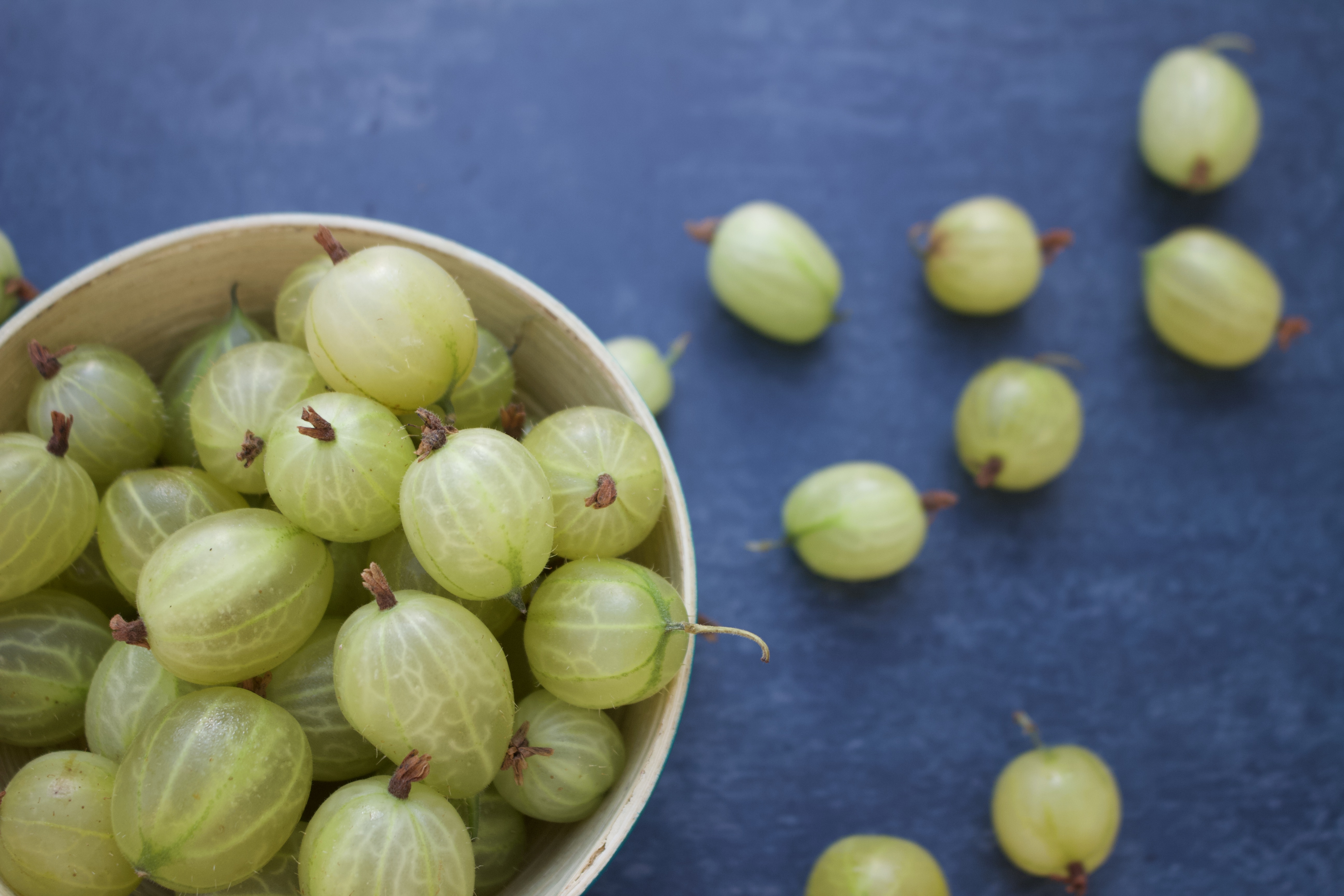 36A2A2C8-44DD-49A2-8B4B-D02DD916DFD3_1_100_o