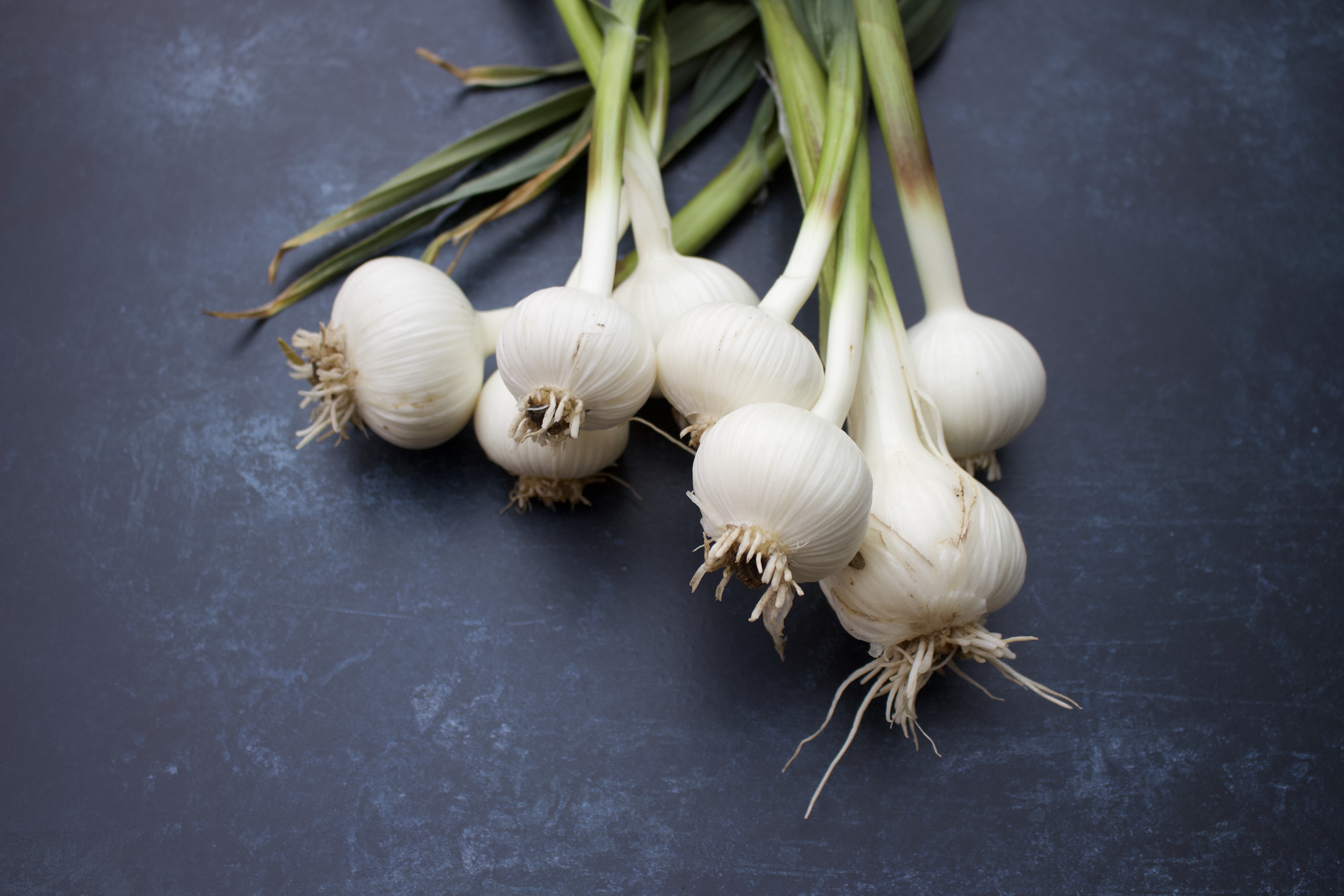 47AB426F-6BF8-41A4-8DC7-5D217C834DED_1_100_o