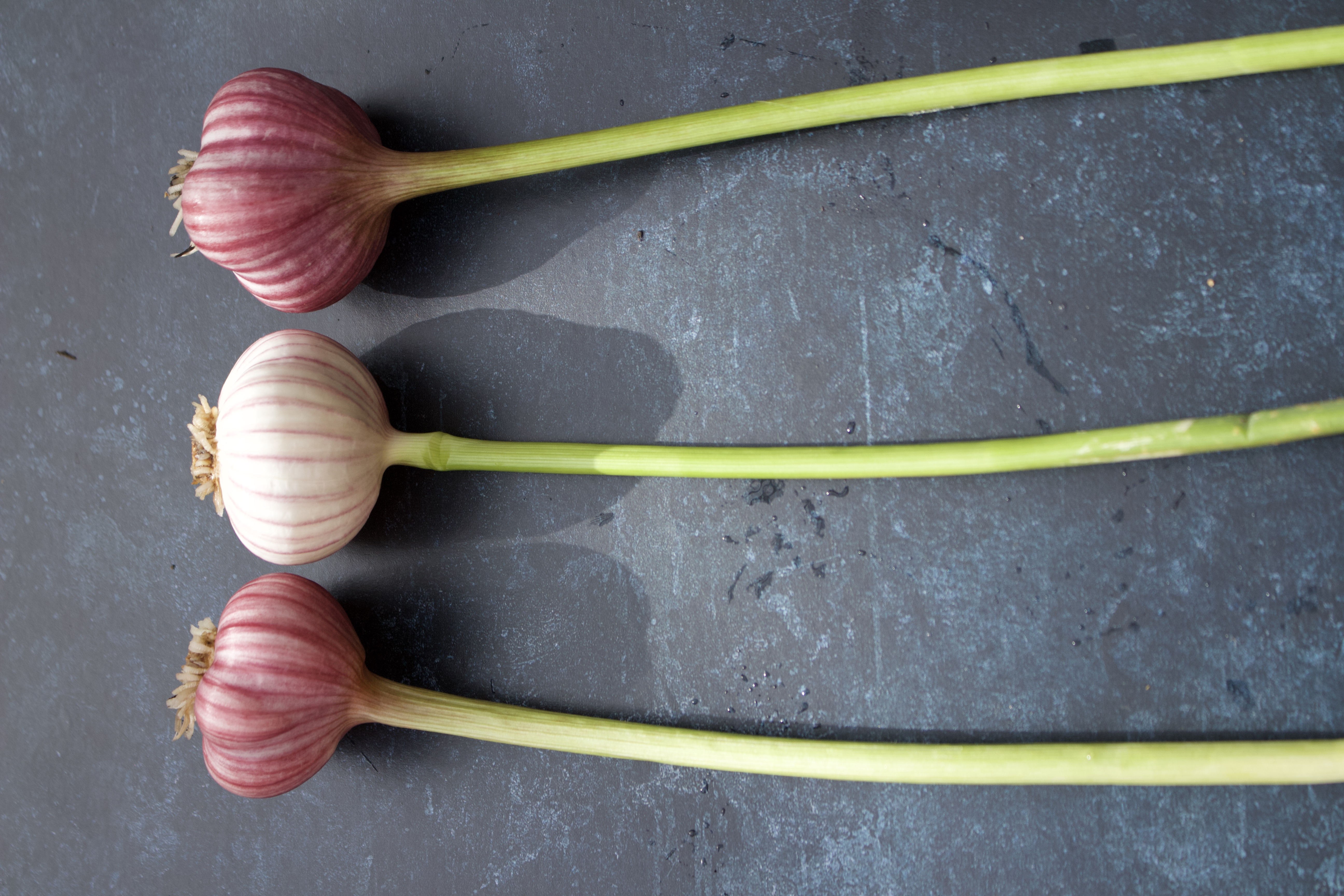 73B48F1A-226B-4BB2-A70B-A377F6AEC354_1_100_o