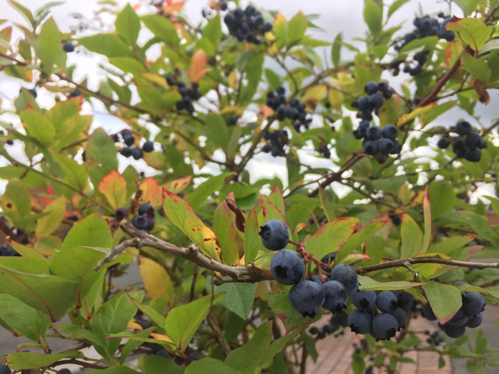 932FE362-105C-4BE7-B982-C24E32BA1026