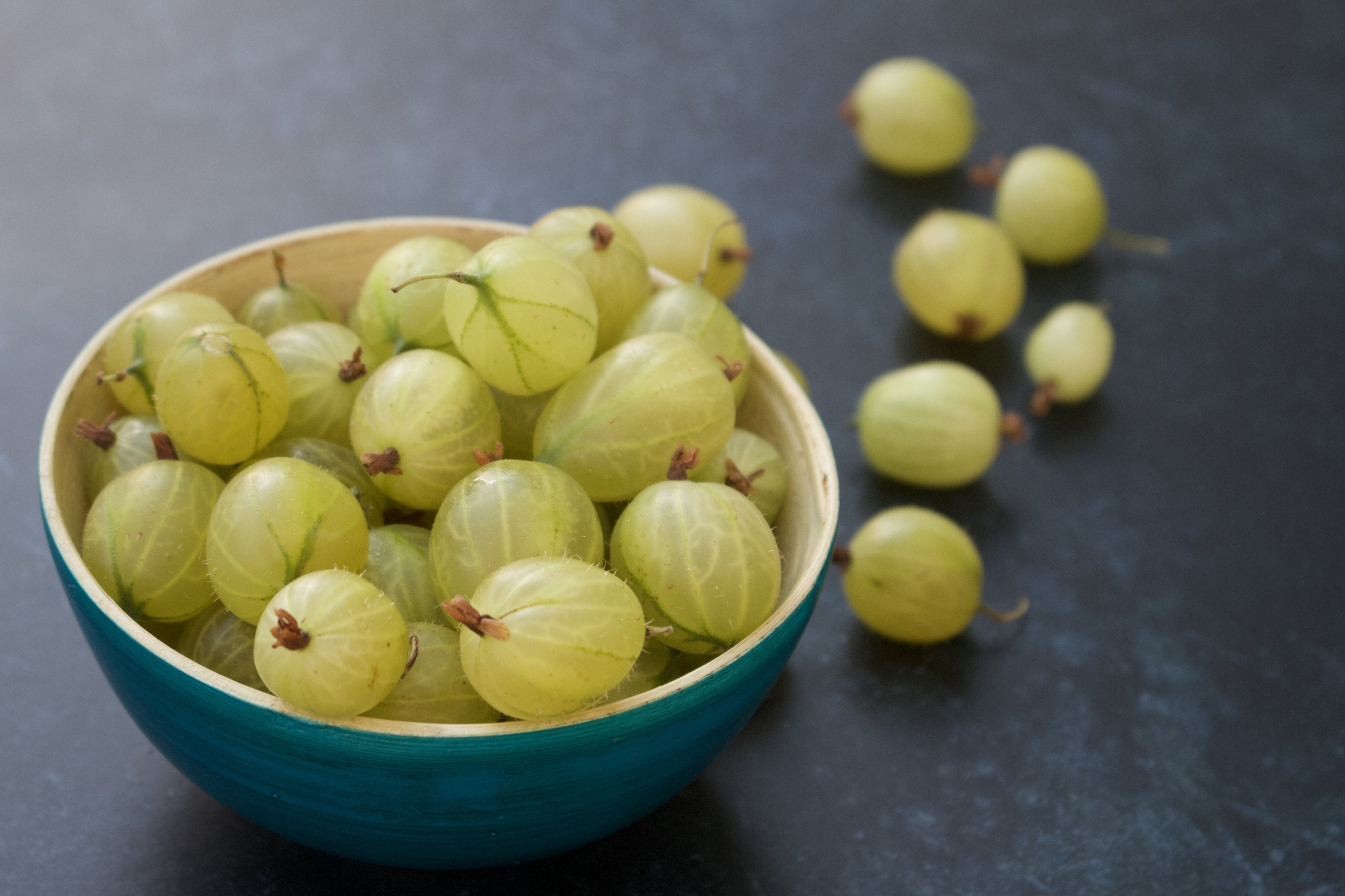 A5796305-E298-4B43-8B34-9567DDBEC3BC_1_201_a