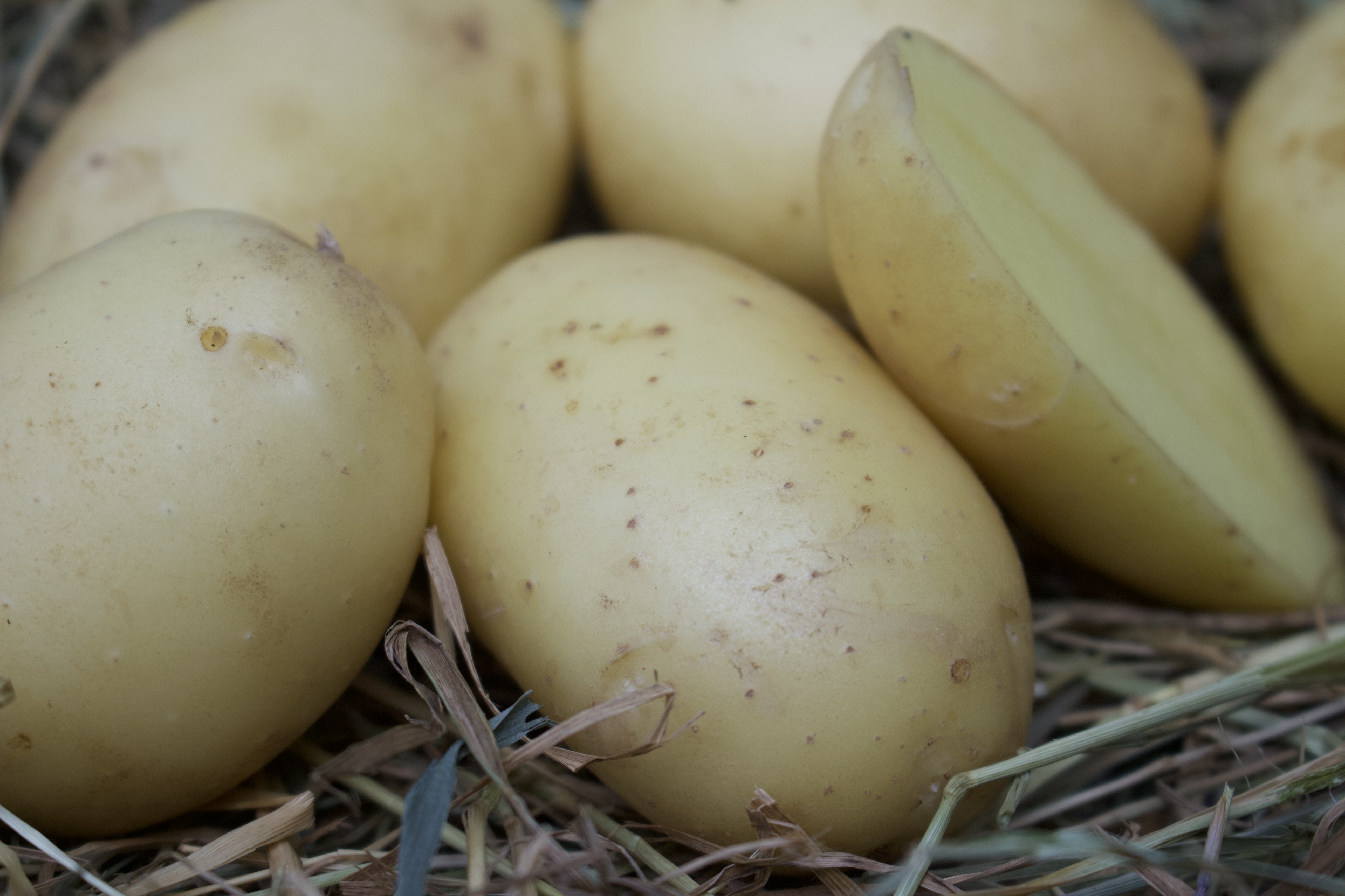 CCA48E7E-178D-4AE7-A3C9-261F87EF410D_1_100_o