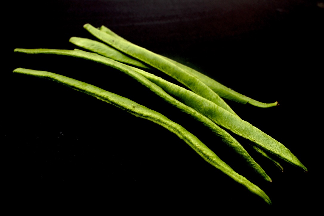 a41d5468-e414-4ef7-8811-ac8b0fa888ee_1_105_c